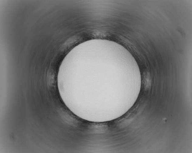 X0000111520619200908041245