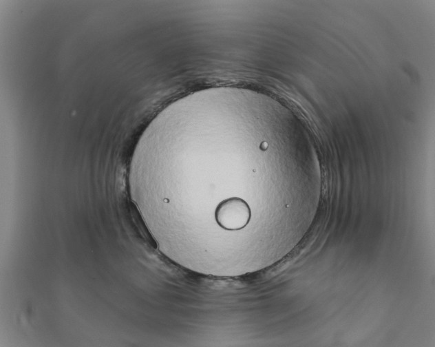 X0000111520621200908041245