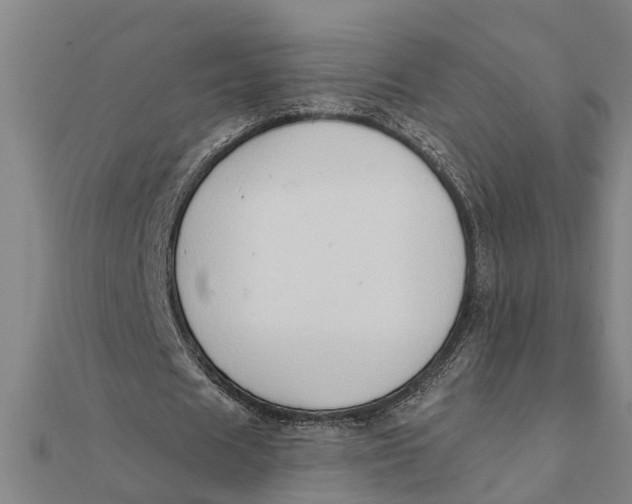 X0000111520625200908041244