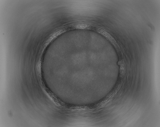 X0000111520626200908041244