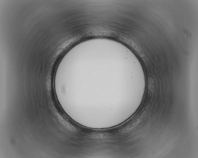 X0000111520629200908041244