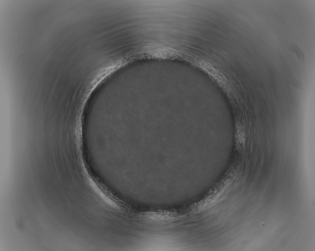 X0000111520630200908041244
