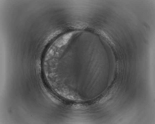 X0000111520634200908041244