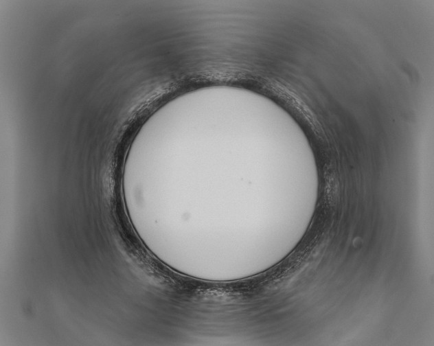 X0000111520635200908041244
