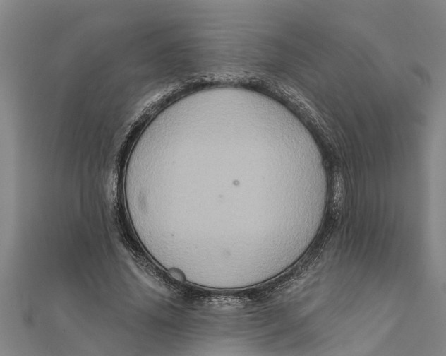 X0000111520636200908041244