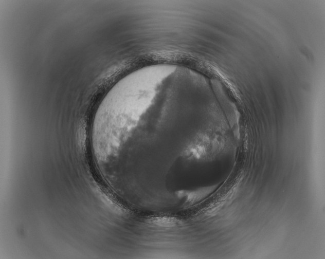 X0000111520637200908041244