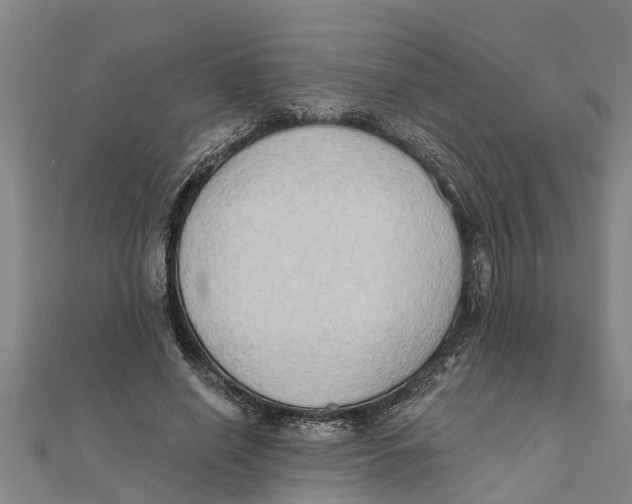 X0000111520638200908041244