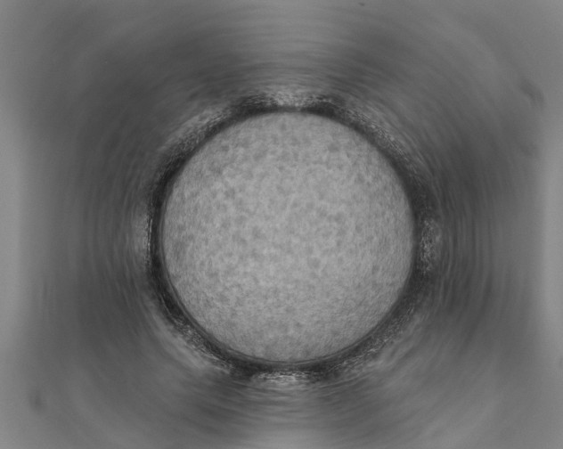 X0000111520639200908041244