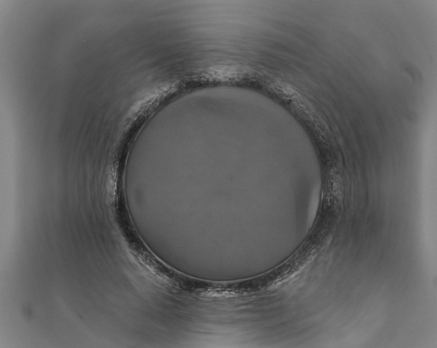 X0000111520640200908041244