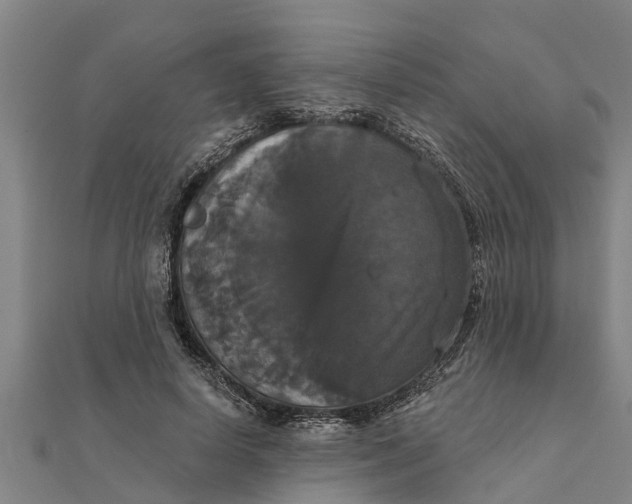 X0000111520642200908041244