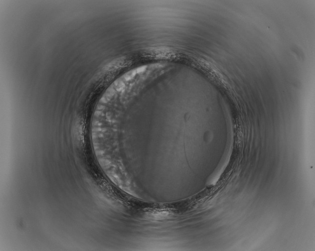 X0000111520643200908041244