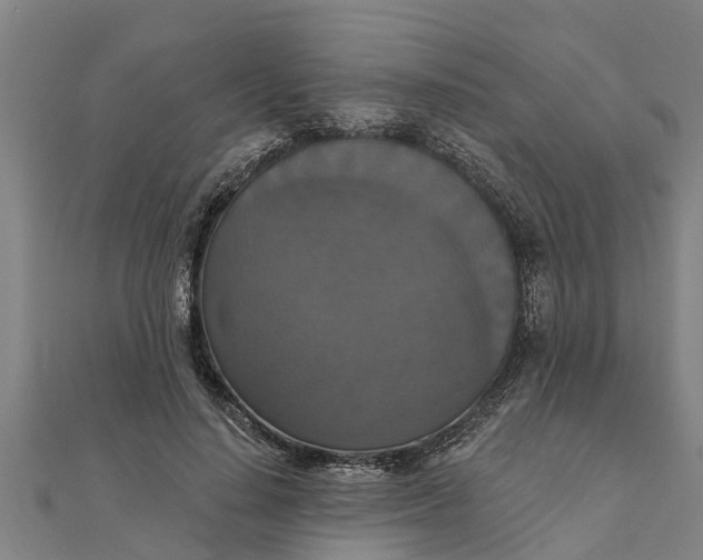 X0000111520644200908041244