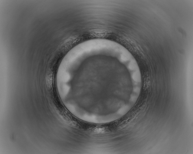 X0000111520647200908041244