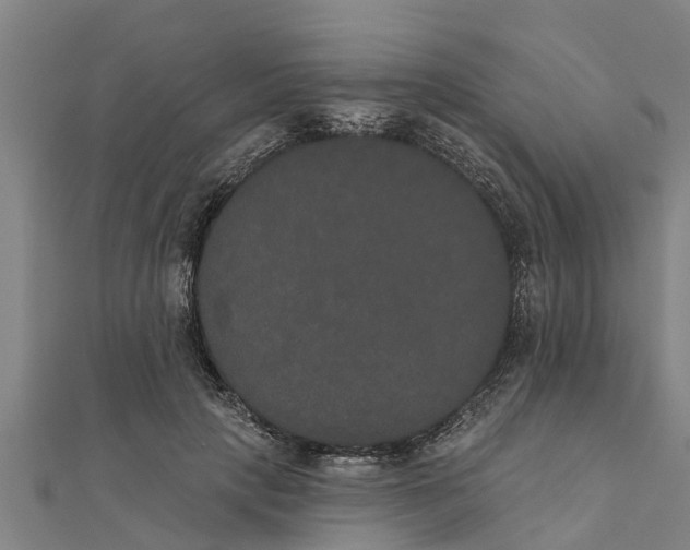 X0000111520649200908041244