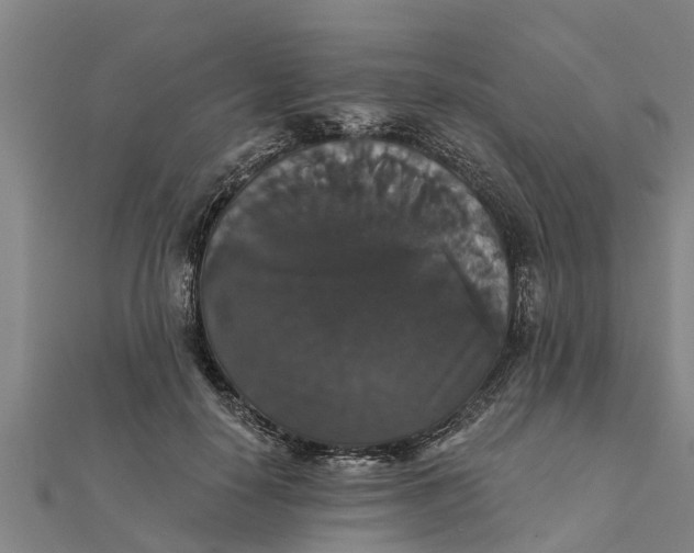 X0000111520650200908041244