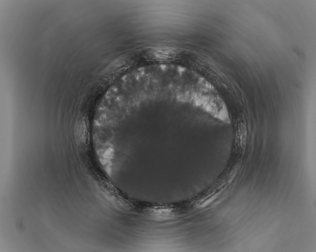 X0000111520651200908041244