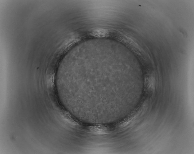 X0000111520652200908041244