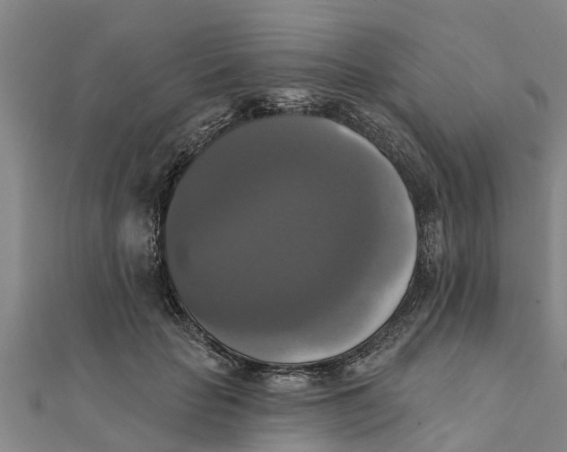 X0000111520653200908041244