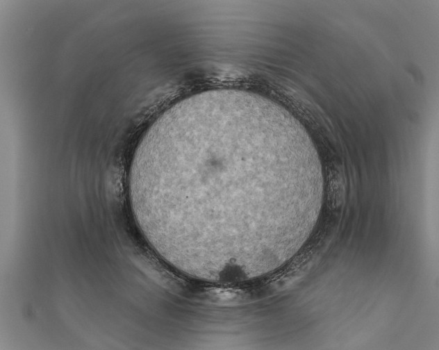 X0000111520654200908041244