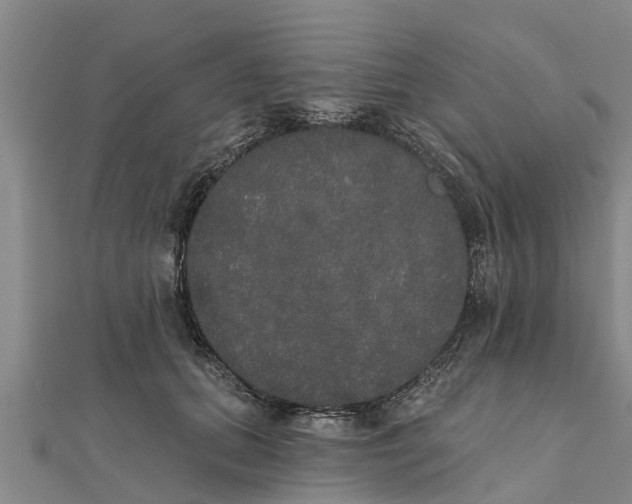 X0000111520655200908041244