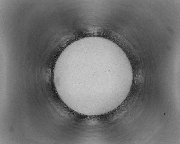 X0000111520656200908041244