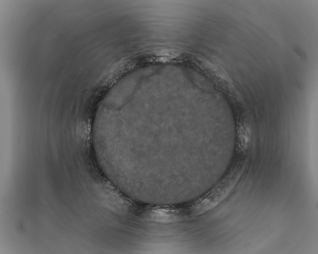 X0000111520657200908041245