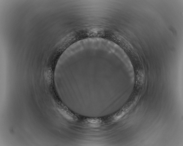 X0000111520659200908041245