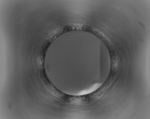 X0000111520661200908041245
