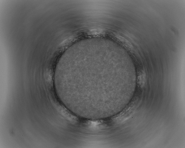 X0000111520662200908041245