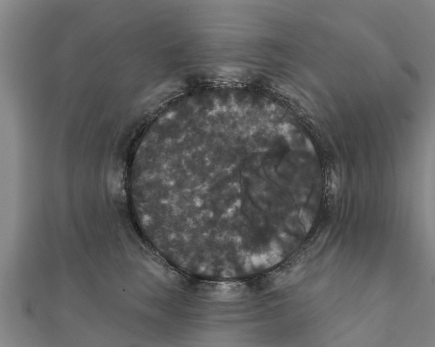 X0000111520663200908041245