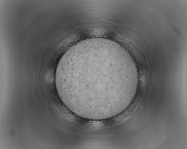 X0000111520665200908041245