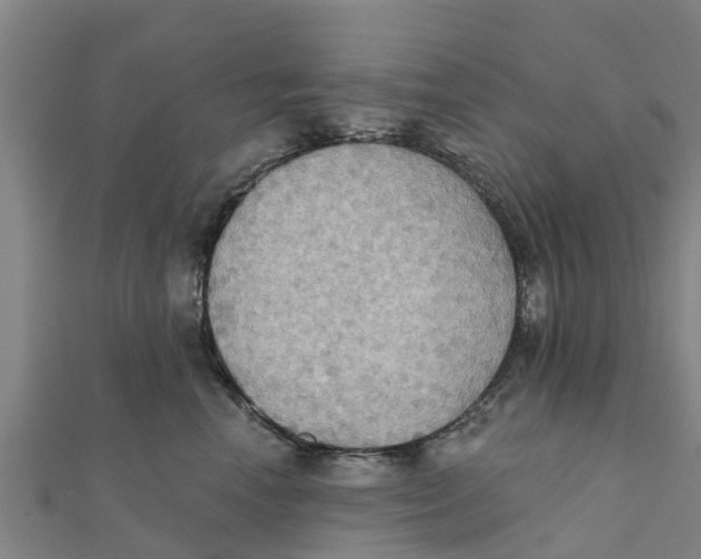 X0000111520666200908041245