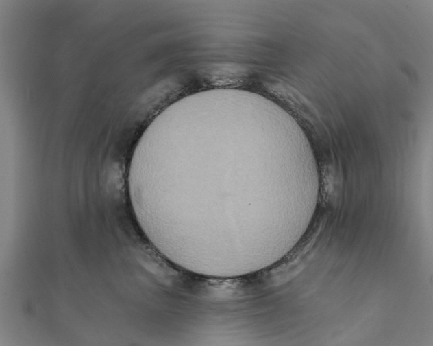 X0000111520667200908041245