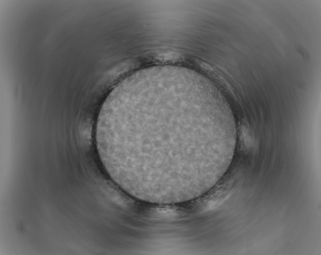 X0000111520668200908041245