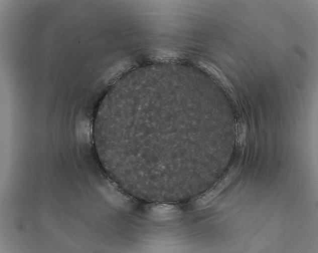 X0000111520669200908041245