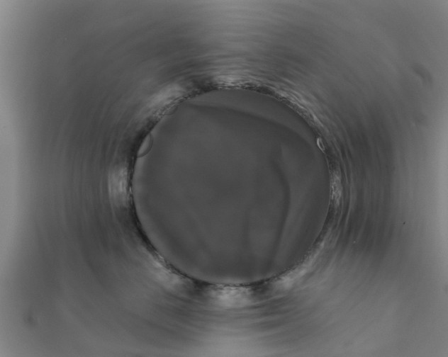 X0000111520670200908041245