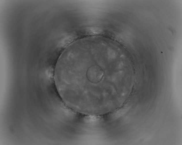 X0000111520672200908041245