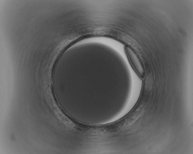 X0000111520673200908041244