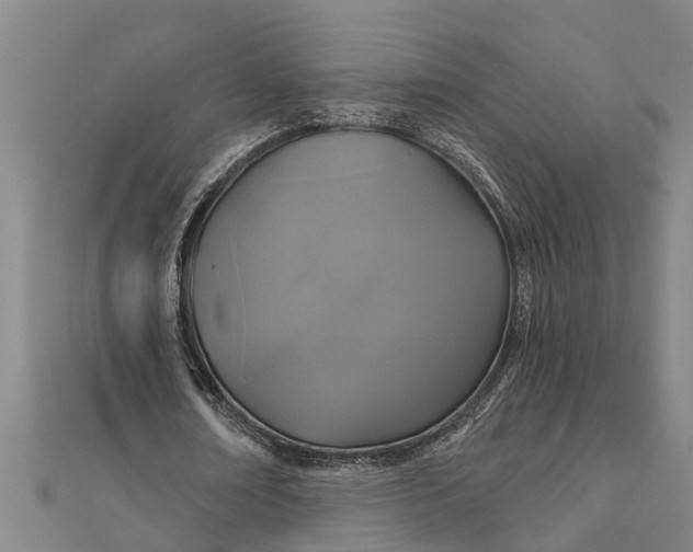 X0000111520674200908041244