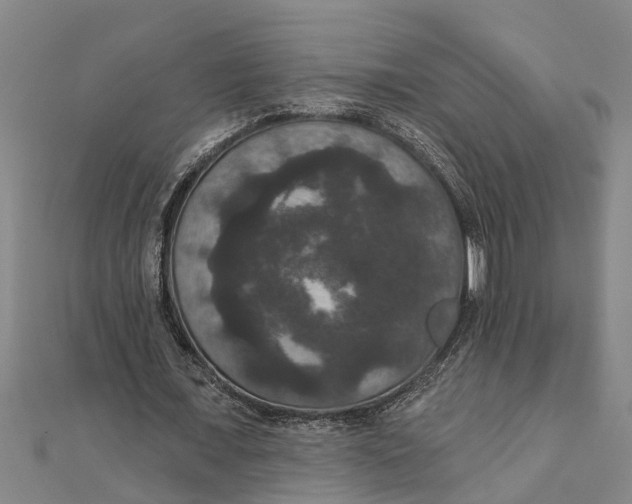 X0000111520675200908041244
