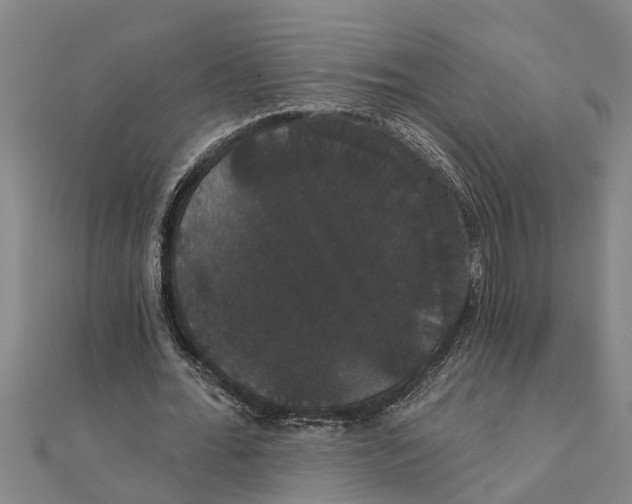 X0000111520676200908041244