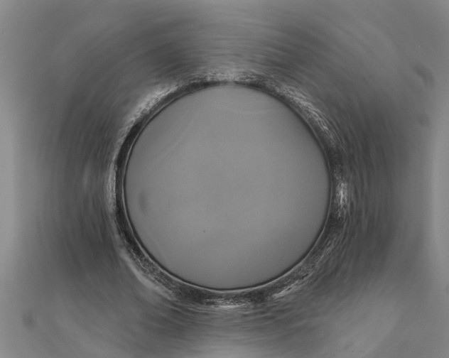 X0000111520678200908041244