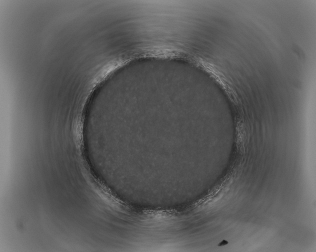 X0000111520679200908041244