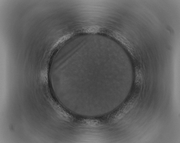 X0000111520681200908041244