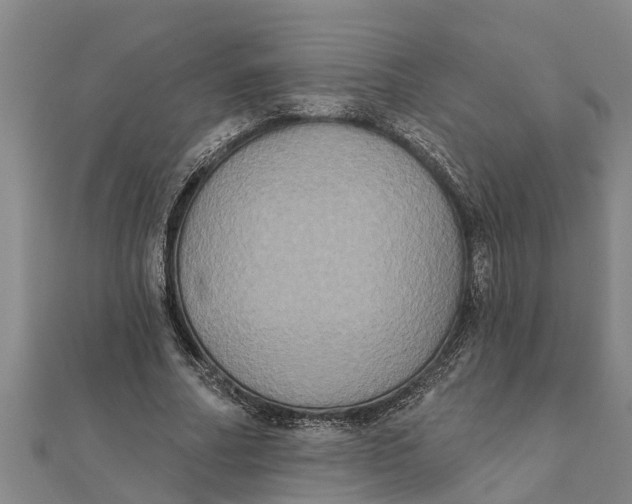 X0000111520682200908041244