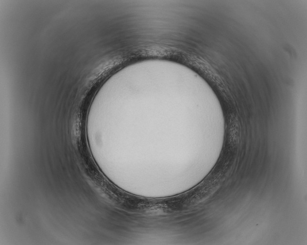 X0000111520683200908041244