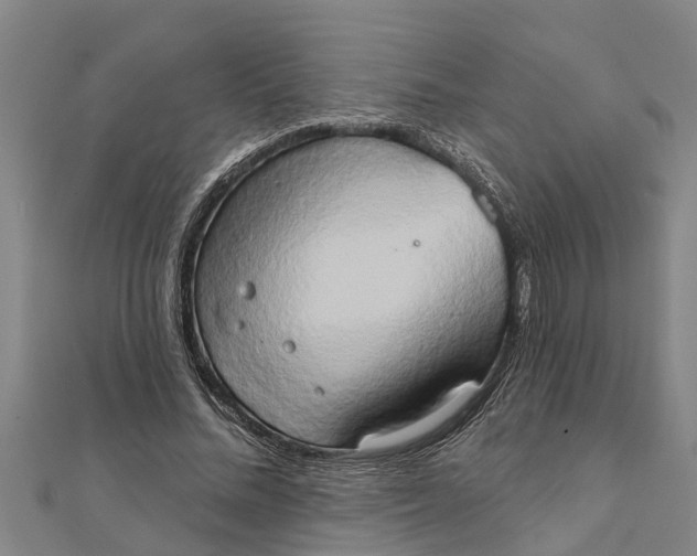 X0000111520684200908041244