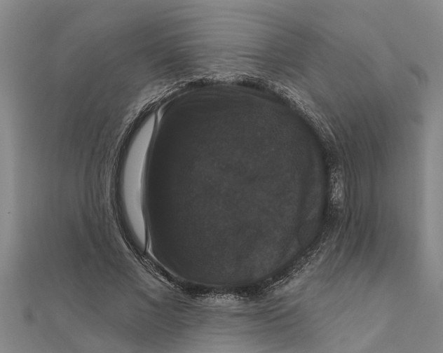 X0000111520685200908041244