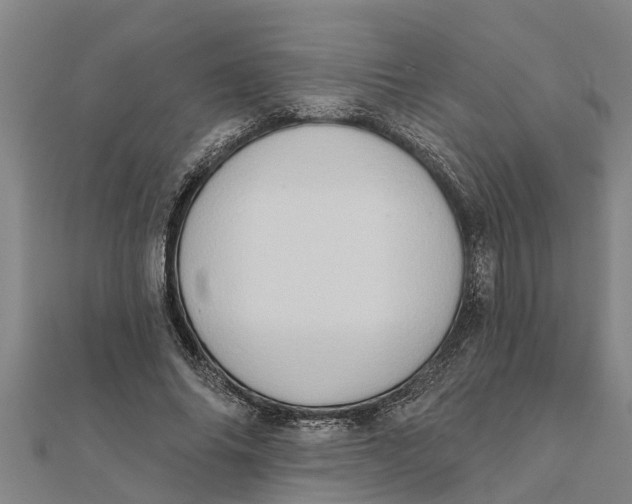 X0000111520686200908041244