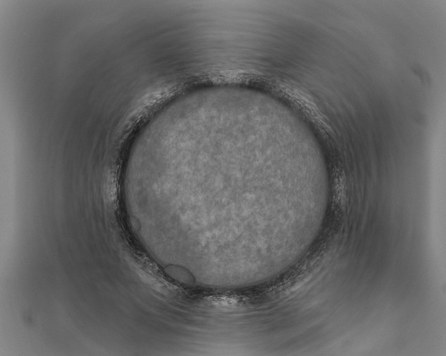 X0000111520687200908041244